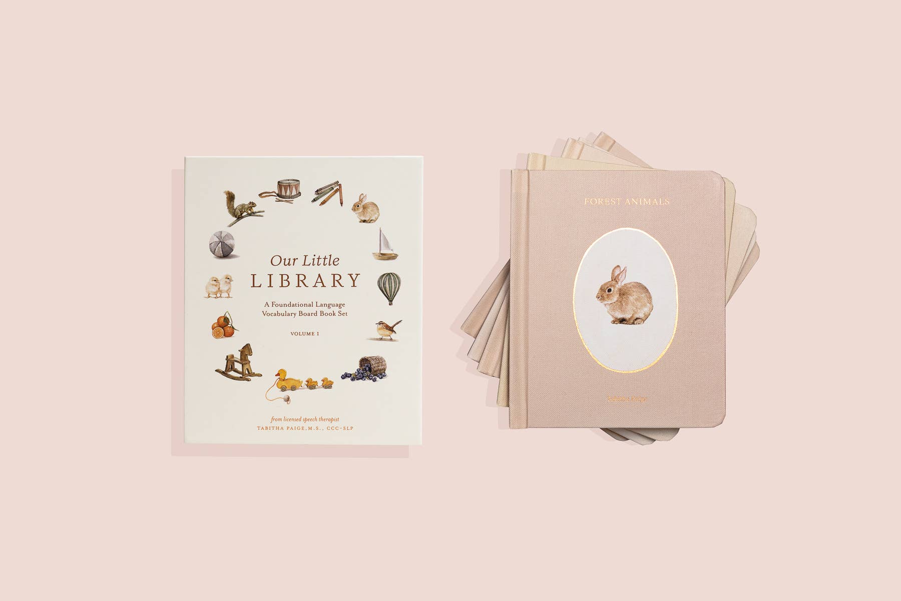 'Mini Library' Book Set
