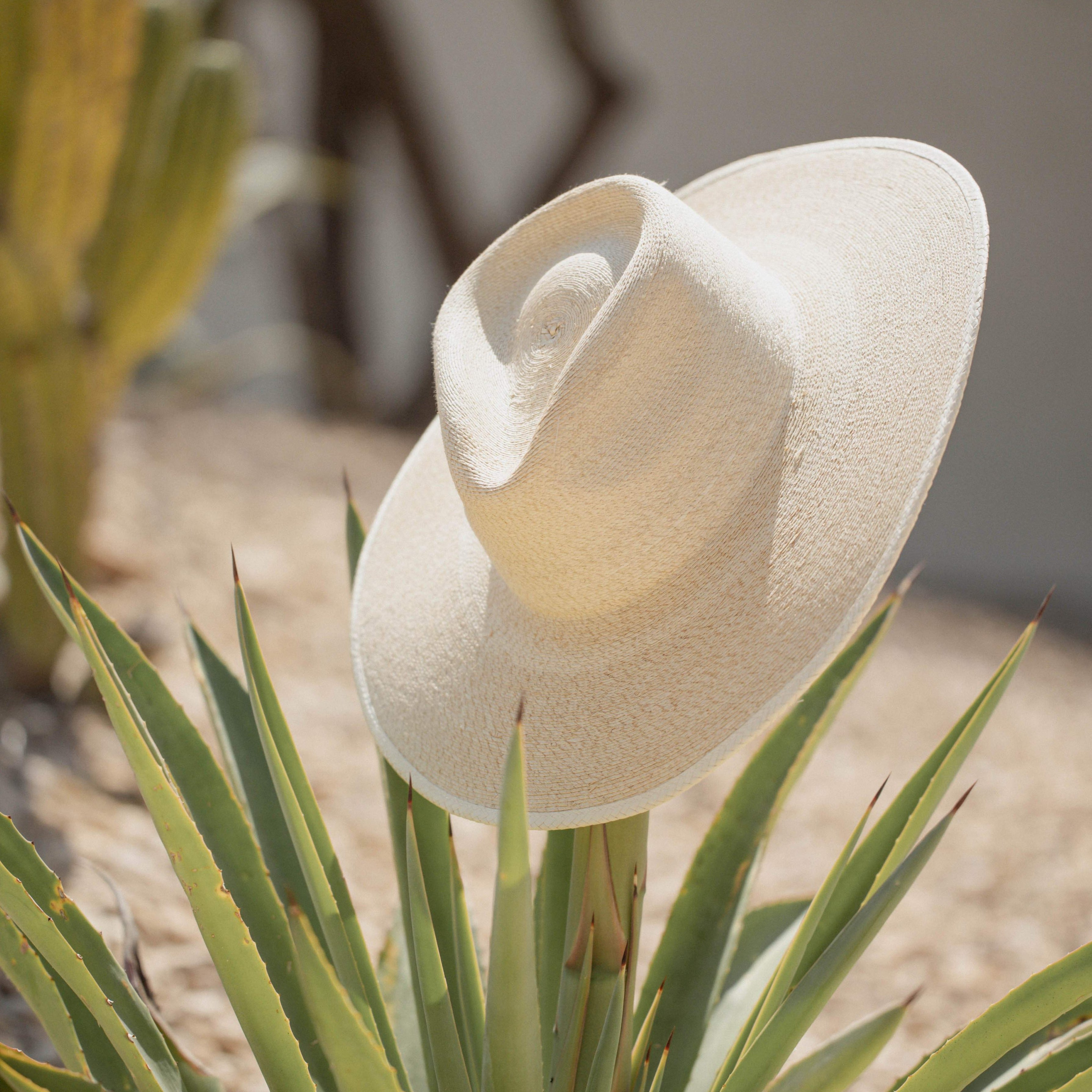 The Sunbleached Fine Palm Rancher Hat – HAUS of TRADE