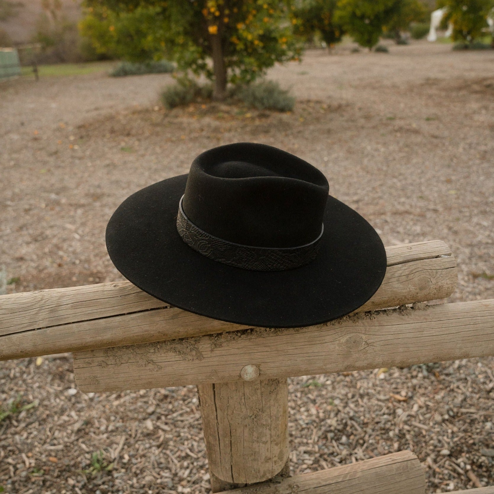 The NOIR Sheep's Wool Rancher Hat