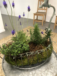 Herb Garden